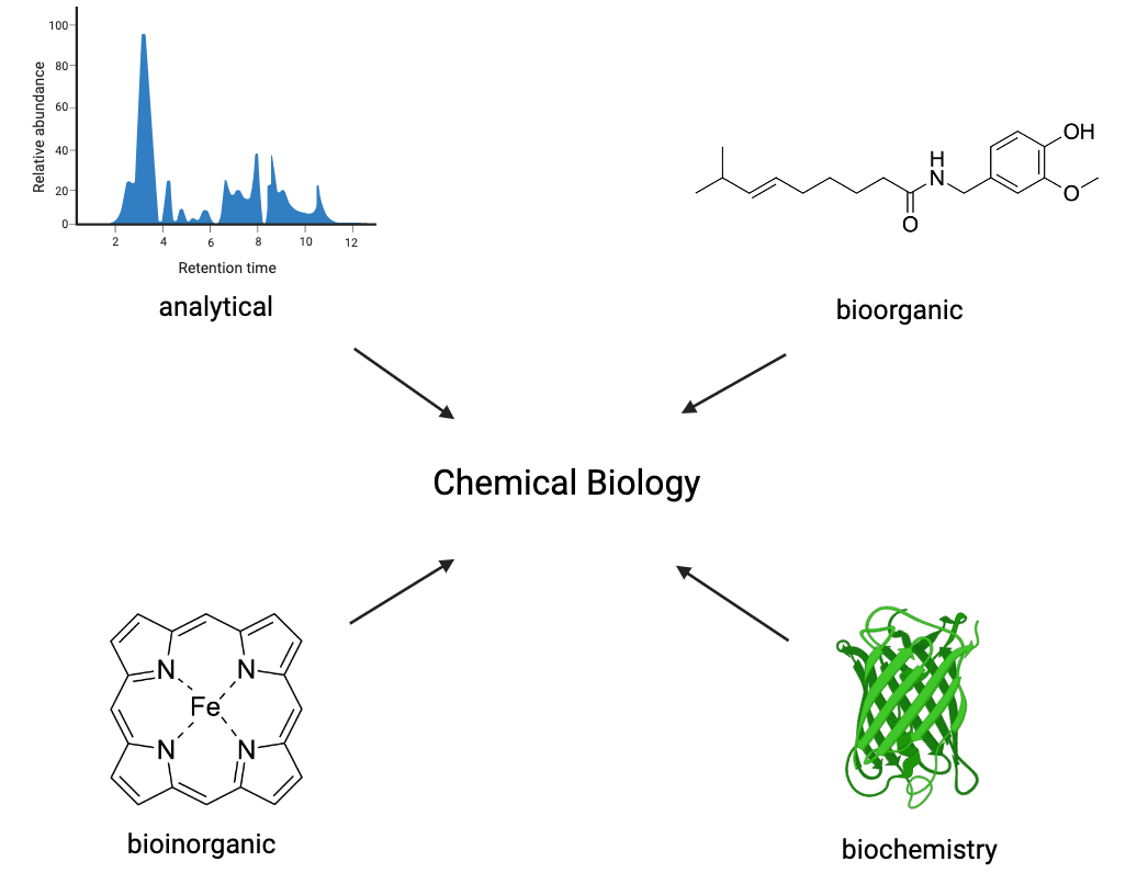 Chemical biology - Wikipedia