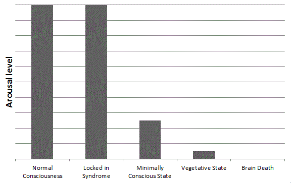 État de conscience minimal — Wikipédia