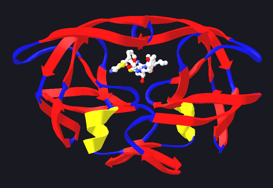 Inhibiteur enzymatique — Wikipédia