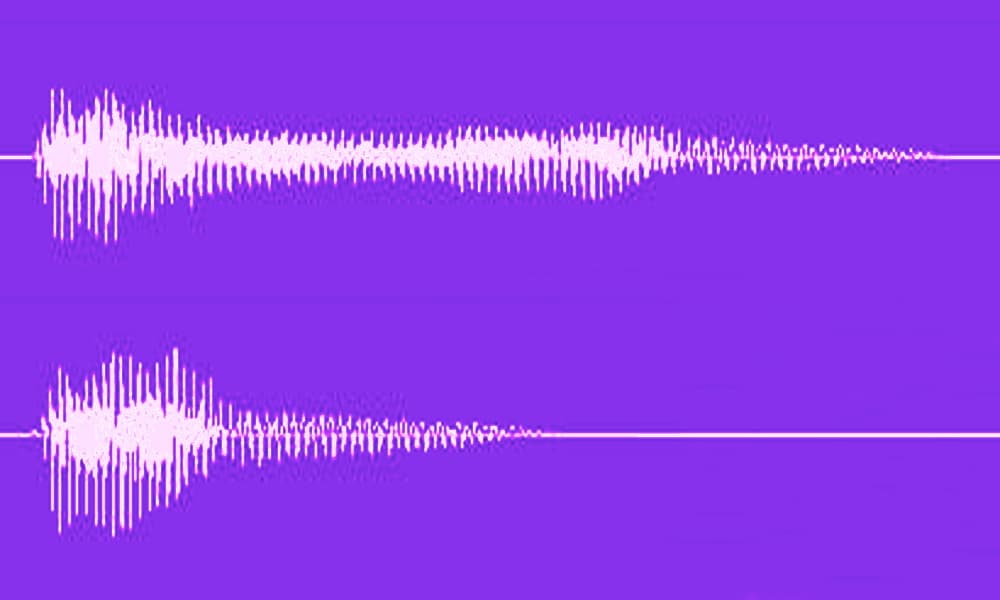 Quantité vocalique — Wikipédia