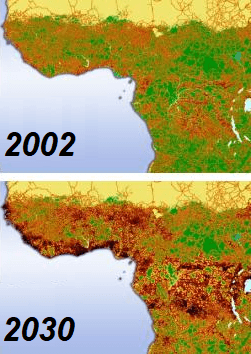 Habitat fragmentation - Wikipedia