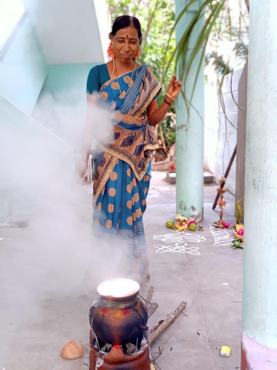 Pongal (festival) - Wikipedia