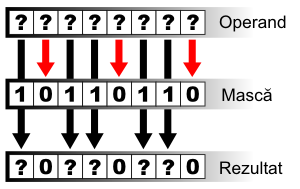 Masquage — Wikipédia