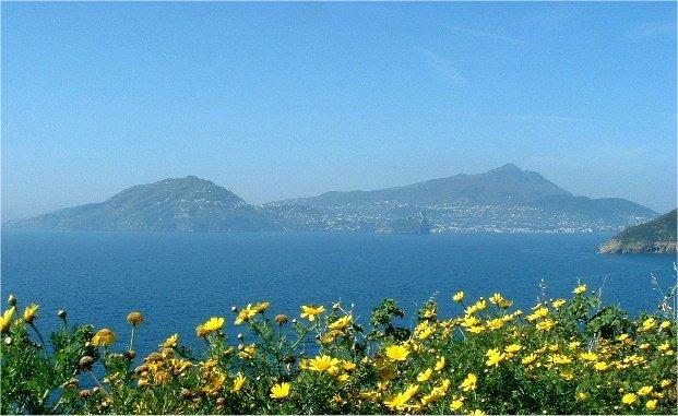 Ischia - Wikipedia