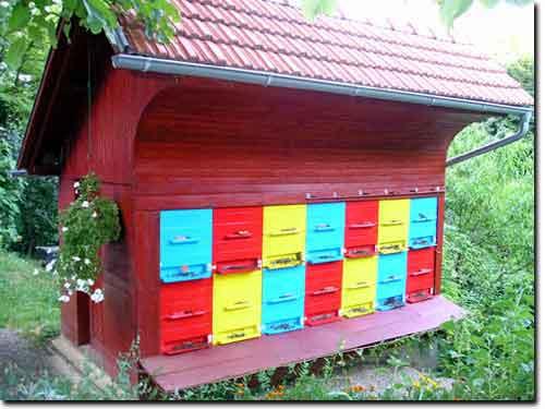 Apiculture — Wikipédia