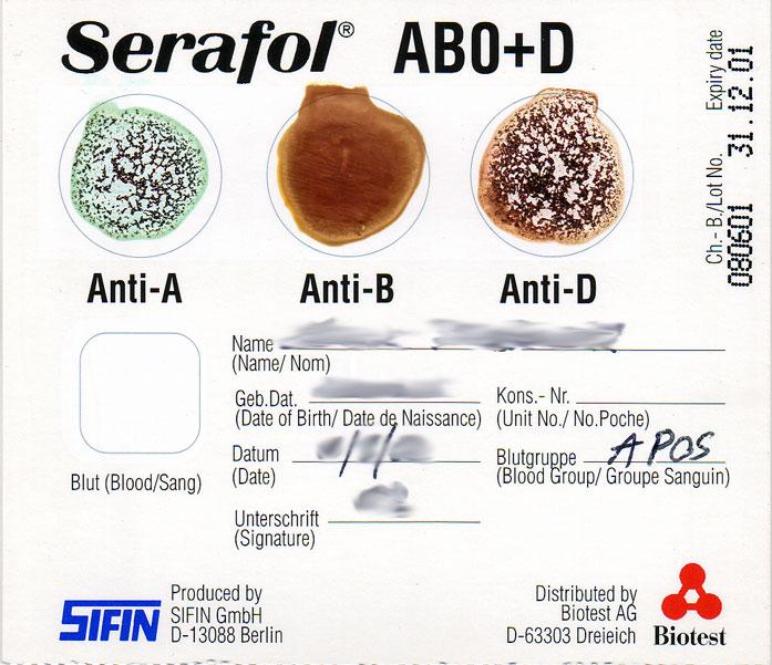 Agglutination (biologie) — Wikipédia