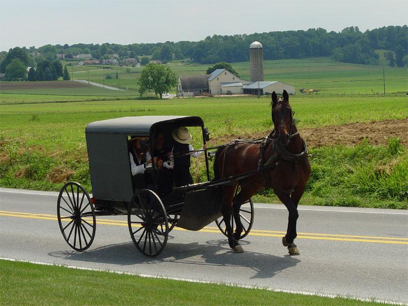 Amish - Wikipedia