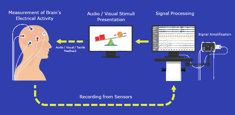 Neurofeedback - Wikipedia