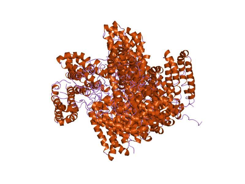 Two-component regulatory system - Wikipedia