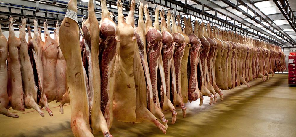 Meat industry - Wikipedia