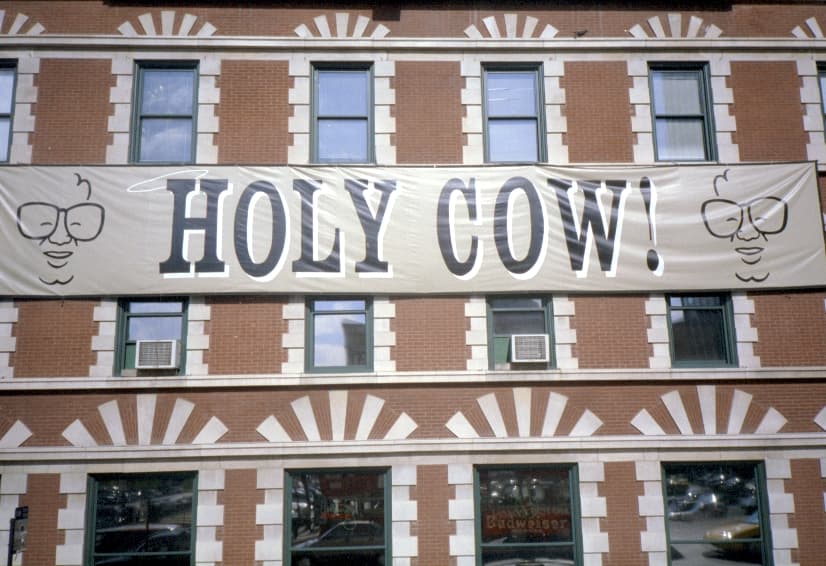 Holy cow (expression) - Wikipedia