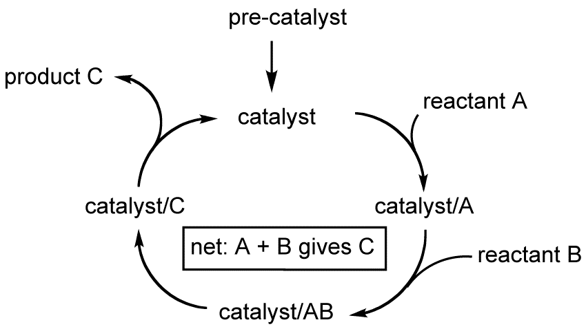 Catalytic cycle - Wikipedia