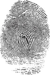 Fingerprint - Wikipedia