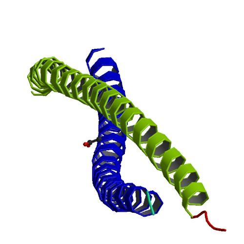 Vimentine — Wikipédia