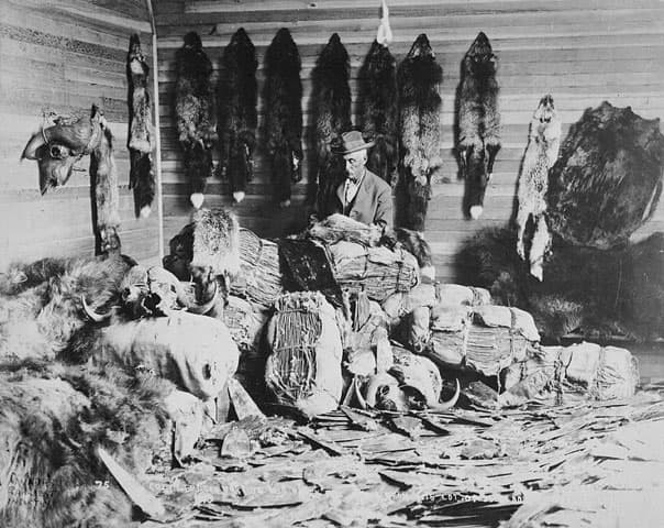 Fur trade - Wikipedia