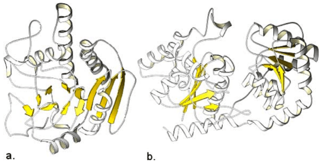 Glycosyltransferase - Wikipedia