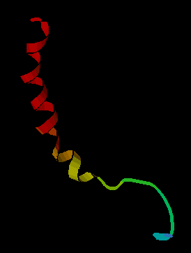 Neuropeptide — Wikipédia