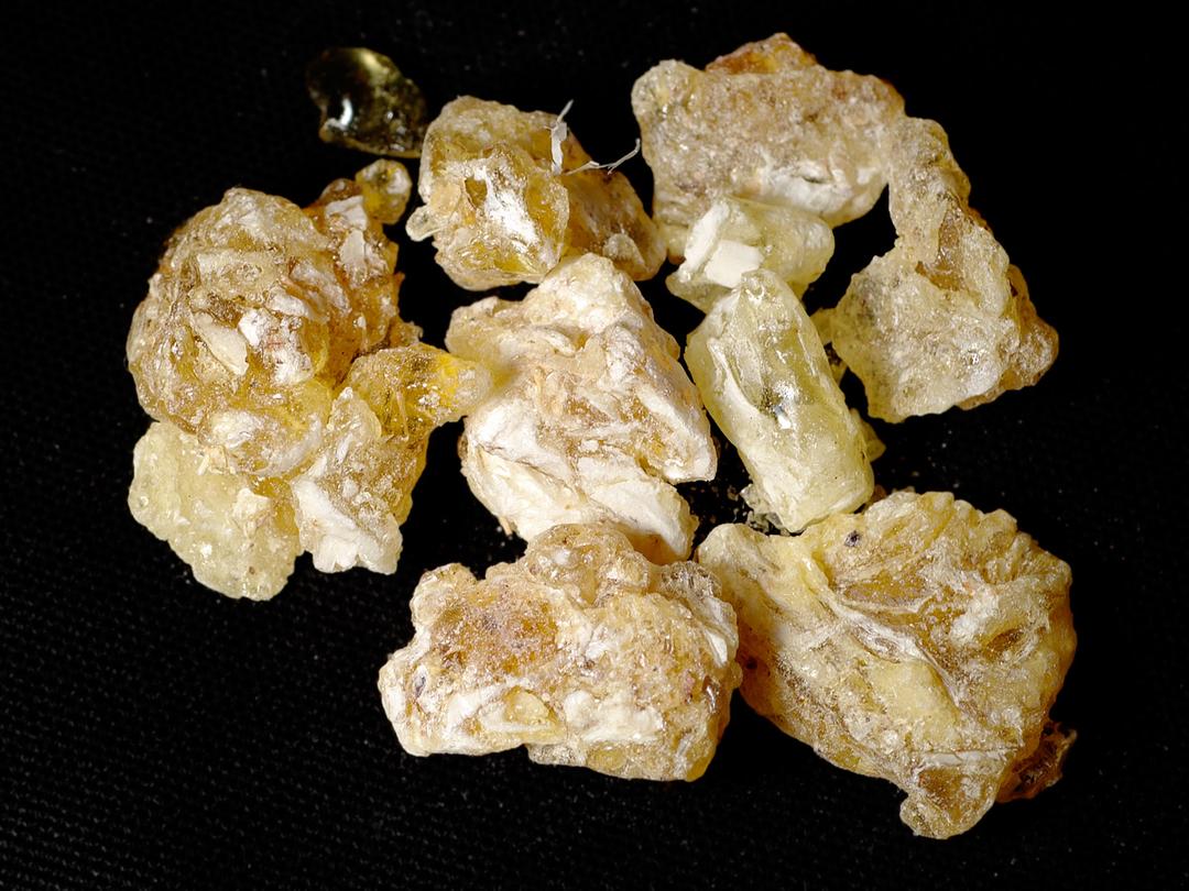 Frankincense - Wikipedia