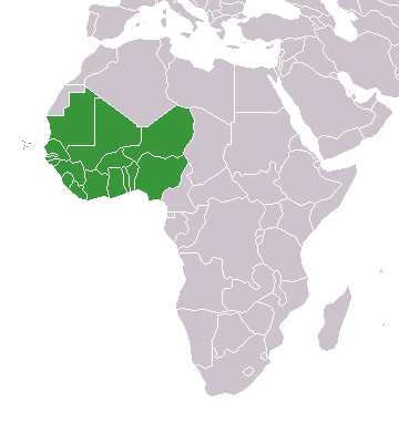 West Africa - Wikipedia