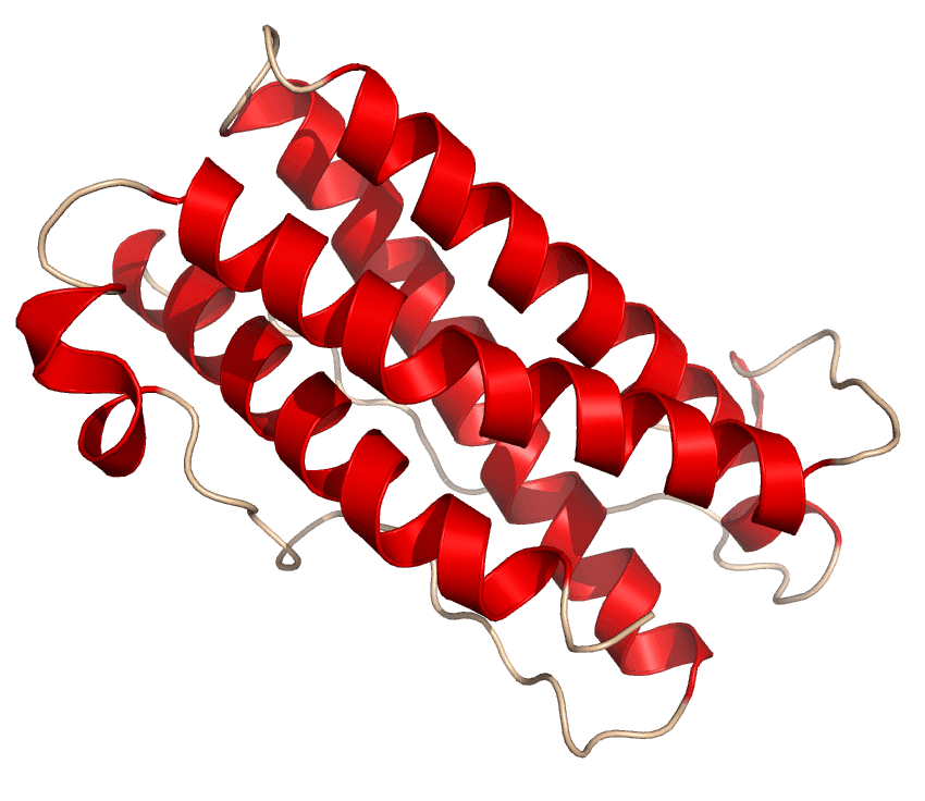 Leukemia inhibitory factor - Wikipedia