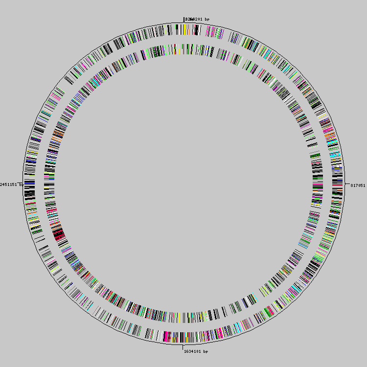 Genome evolution - Wikipedia