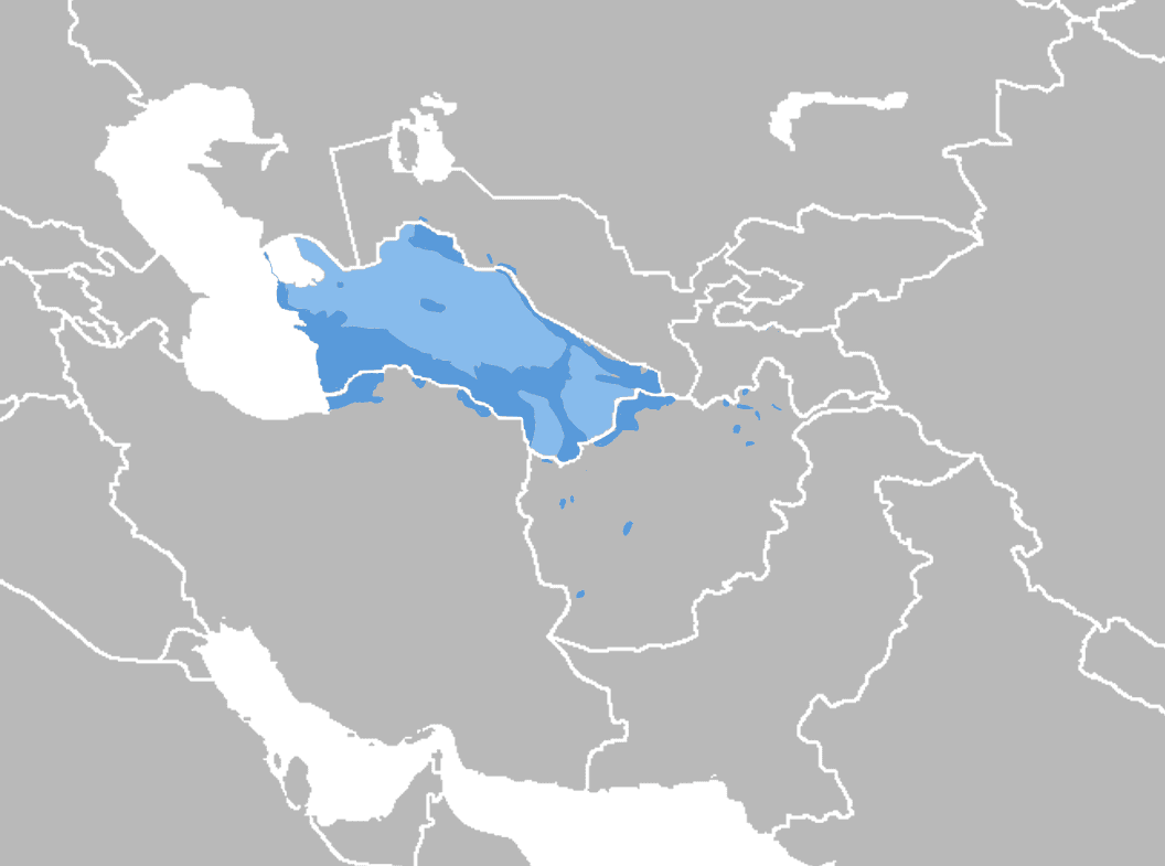 Turkmène — Wikipédia