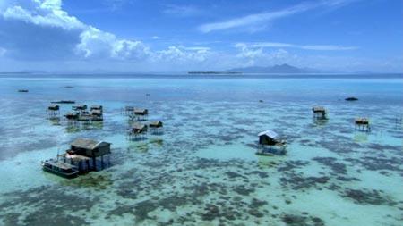 Bajau — Wikipédia