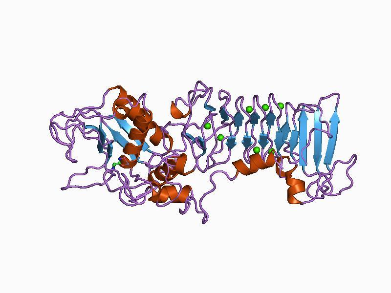 Metalloproteinase - Wikipedia