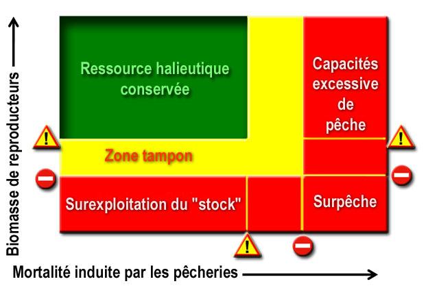 Surpêche — Wikipédia