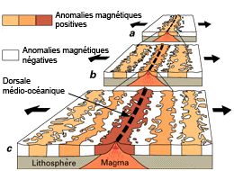 Paléomagnétisme — Wikipédia