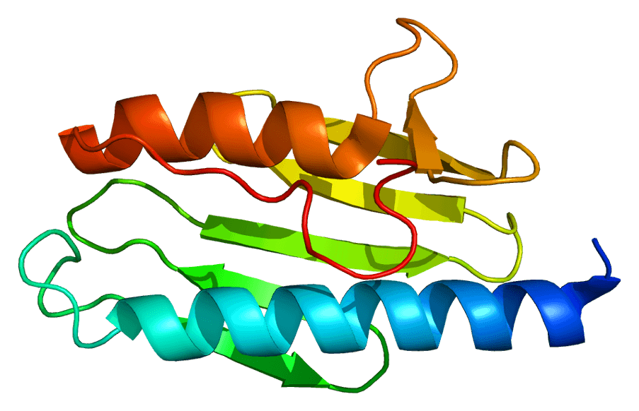 Friedreich's ataxia - Wikipedia