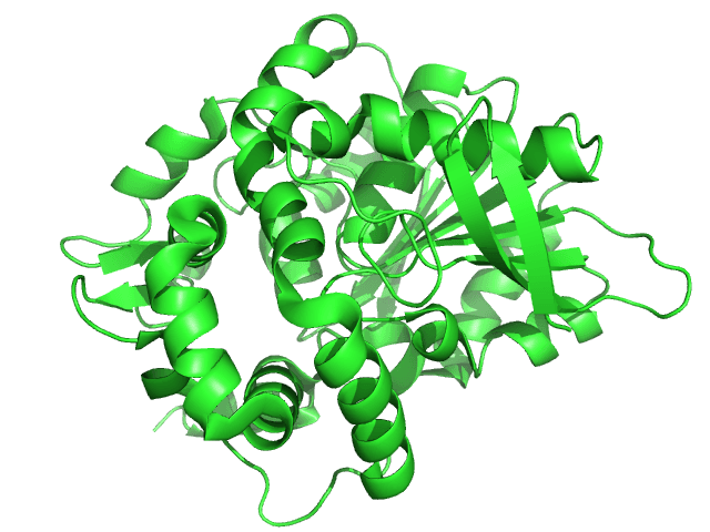 Époxyde hydrolase — Wikipédia