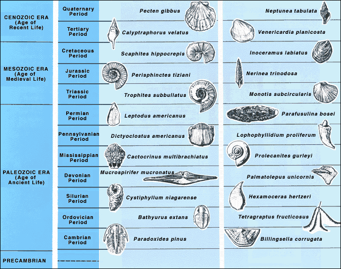 Chronostratigraphie — Wikipédia