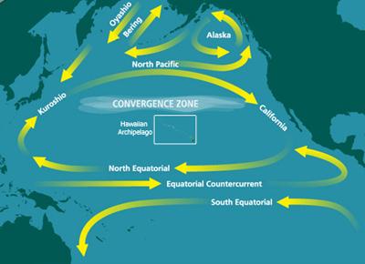 Boundary current - Wikipedia