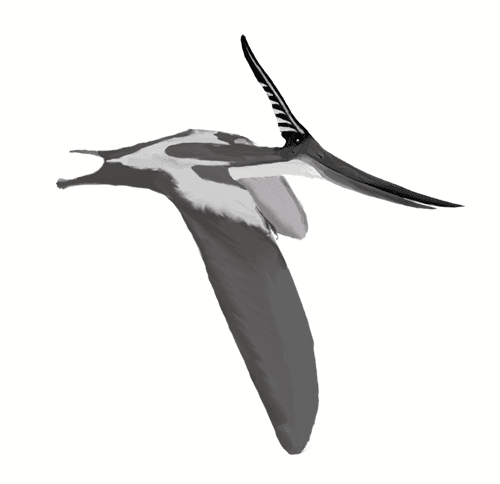 Pteranodontoidea — Wikipédia