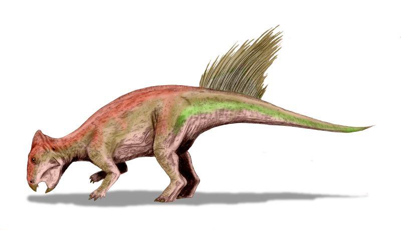 Liaoceratops — Wikipédia