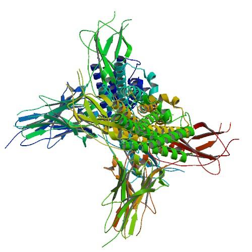 Filgrastim — Wikipédia