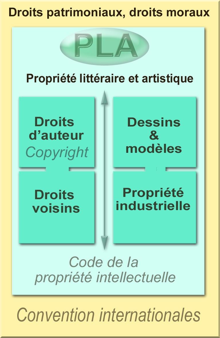 Propriété intellectuelle — Wikipédia