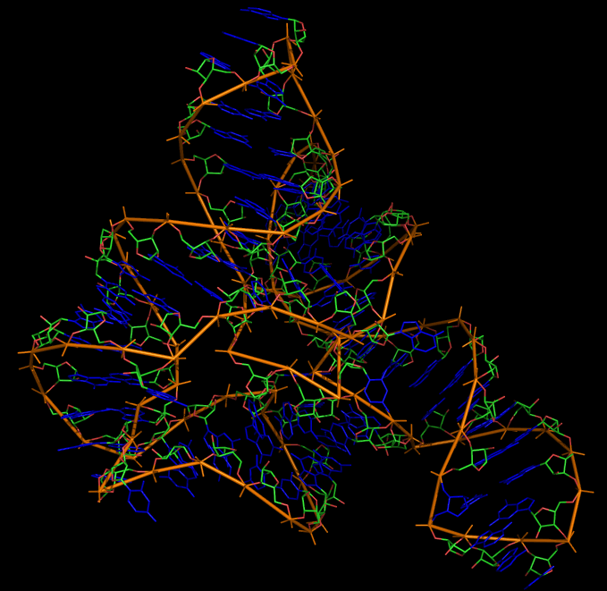 Acide ribonucléique — Wikipédia