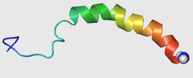 Neuropeptide Y - Wikipedia