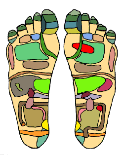 Reflexology - Wikipedia