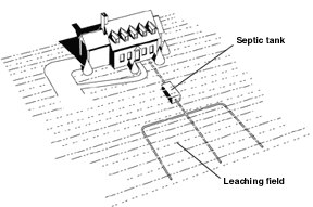 Septic drain field - Wikipedia