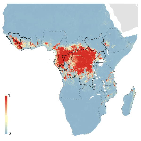 Maladie à virus Ebola — Wikipédia