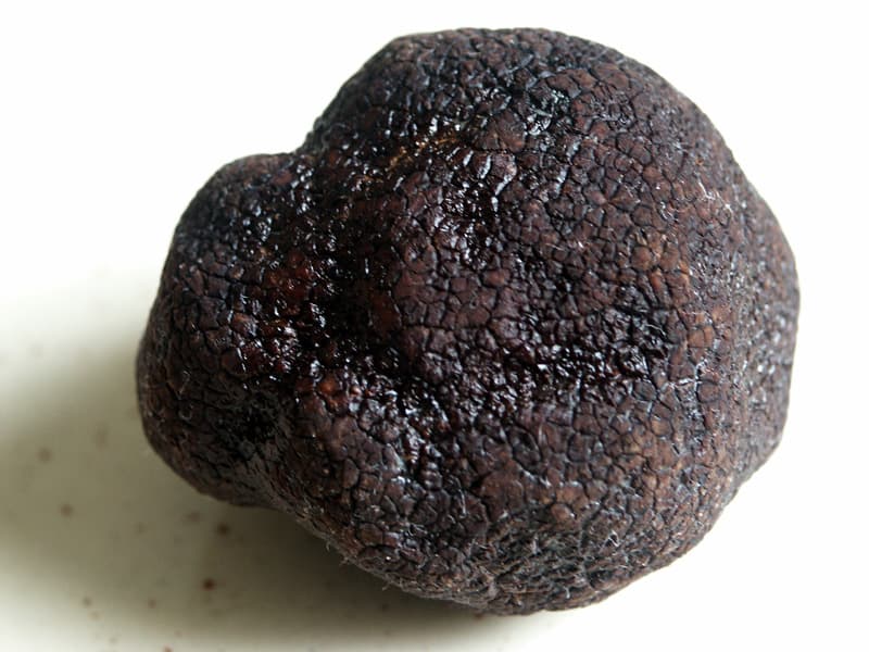 Truffle - Wikipedia