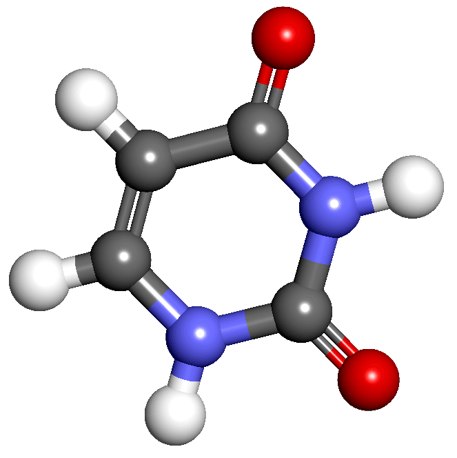 Uracile — Wikipédia