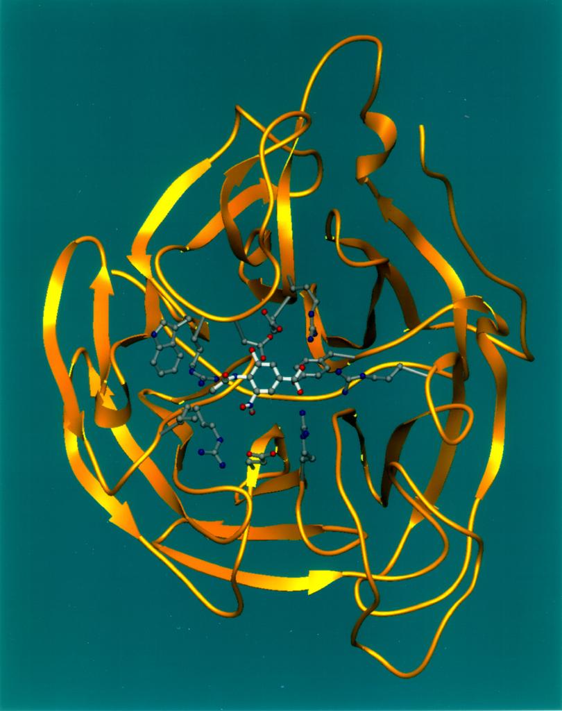 Biochimie — Wikipédia