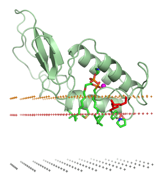 Phospholipase A2 — Wikipédia