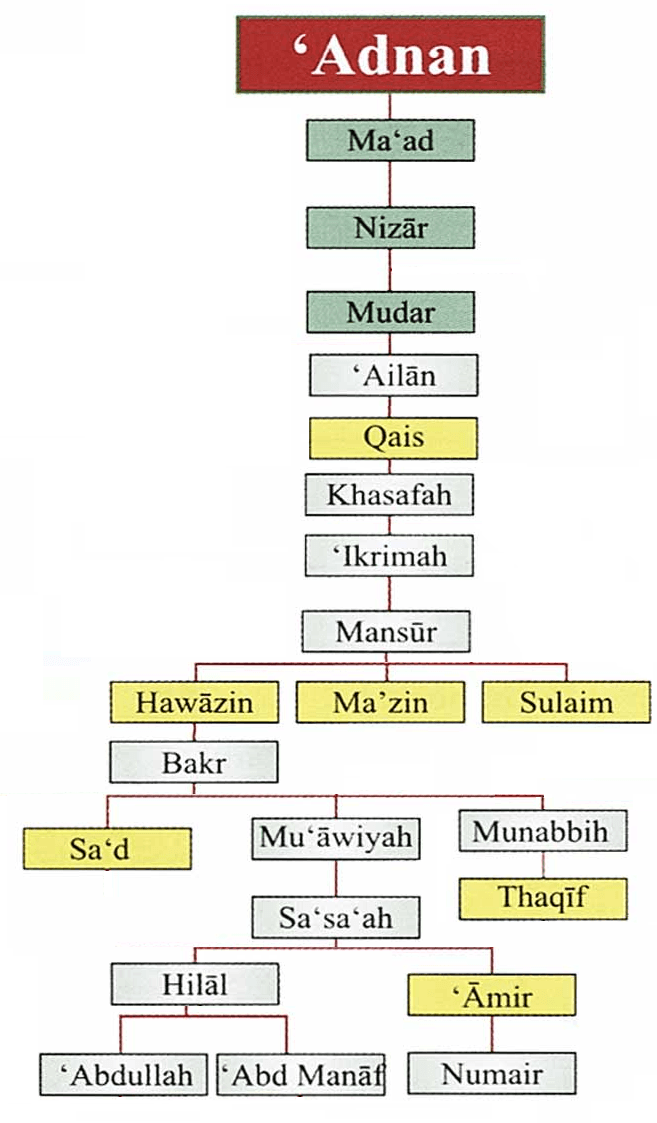 Hawazin — Wikipédia