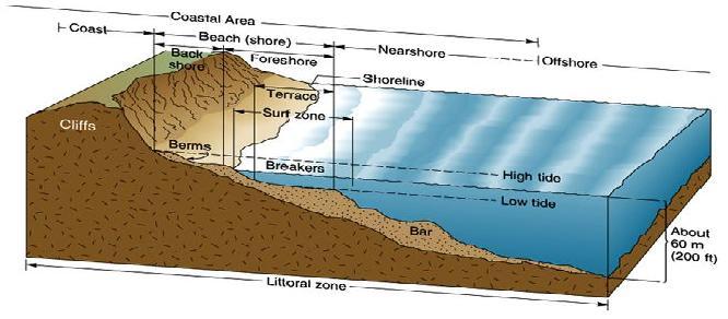 Littoral zone - Wikipedia