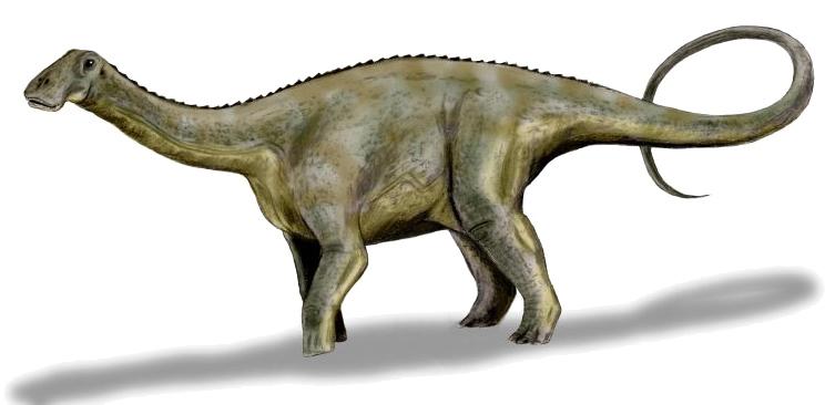 Nigersaurus — Wikipédia